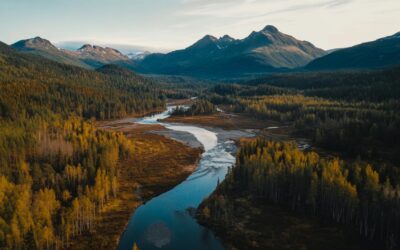Elevez vos films : Guide des prises de vue epoustouflantes avec drones et techniques de post-production avancées